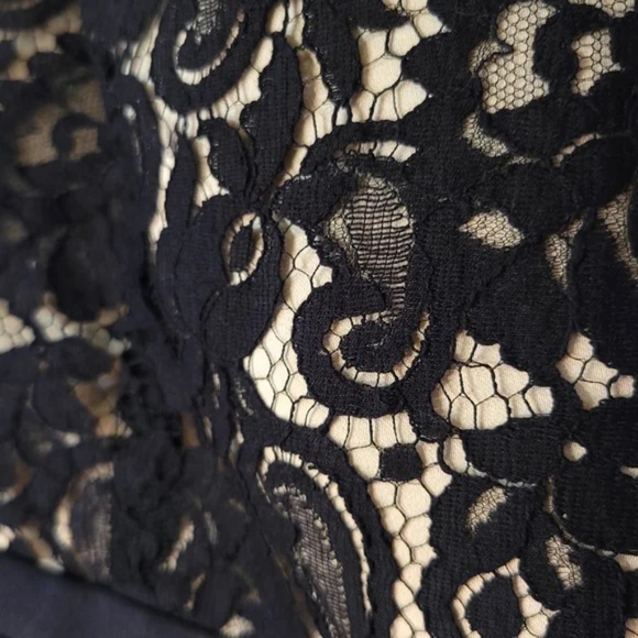 Ann Taylor Strapless Lace Bodice Dress - Picture 3 of 8